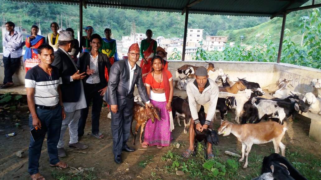 Goat distribution to person living with HIV